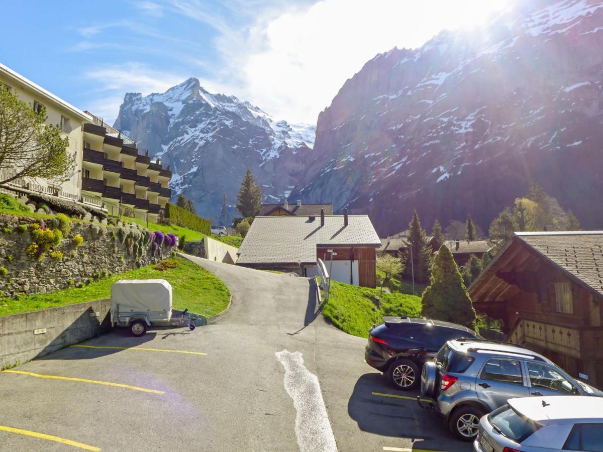 Holiday Home Chalet Ahornen By Interhome กรินเดลวัลด์ ภายนอก รูปภาพ