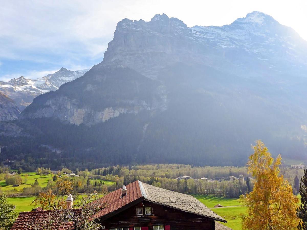 Holiday Home Chalet Ahornen By Interhome กรินเดลวัลด์ ภายนอก รูปภาพ