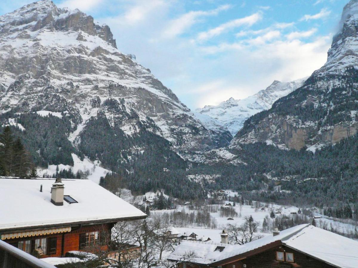 Holiday Home Chalet Ahornen By Interhome กรินเดลวัลด์ ภายนอก รูปภาพ