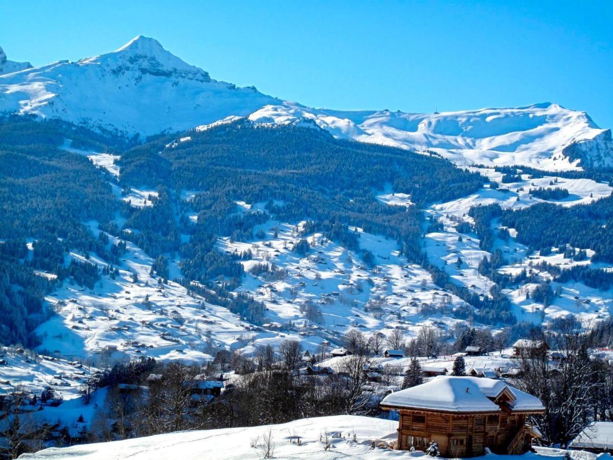 Holiday Home Chalet Ahornen By Interhome กรินเดลวัลด์ ภายนอก รูปภาพ
